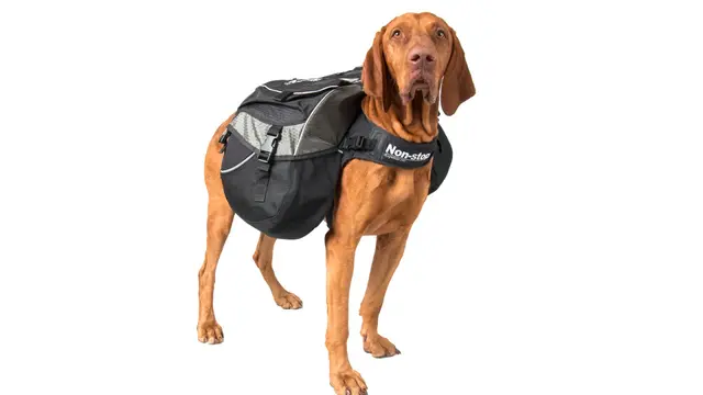 Non-Stop Dogwear Amundsen Kløv XXS Toppkvalitets, innovativ kløv 