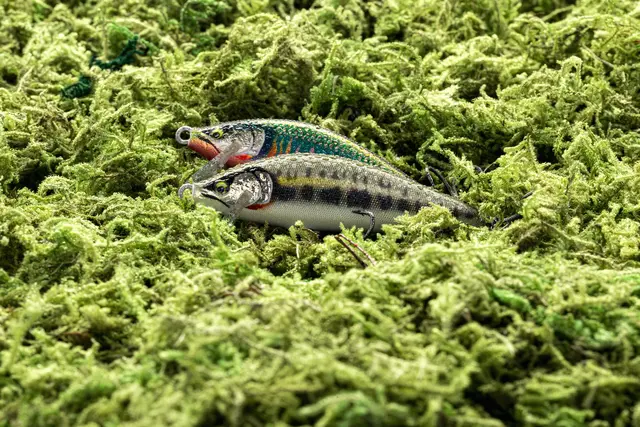 Rapala CountDown Elite GDPY 3,5cm Wobbler med maksimal kastedistanse 