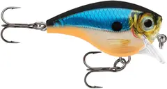Rapala BX Brat 3&#39; BGH Crank-wobbler perfekt til abborfiske