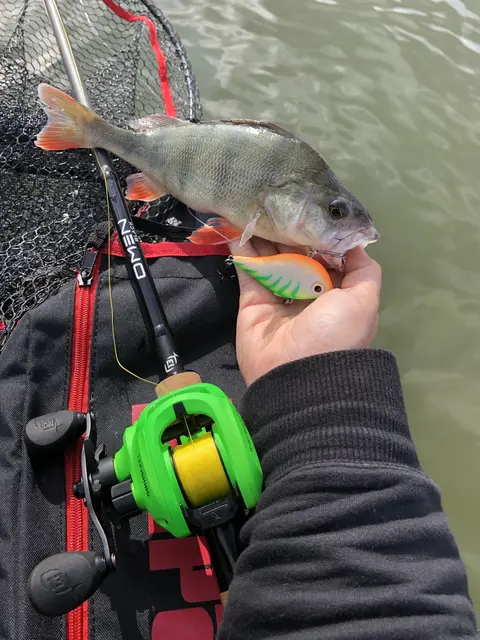 Rapala Rippin Rap GCH 5cm Langtkastende vibrerende wobbler 