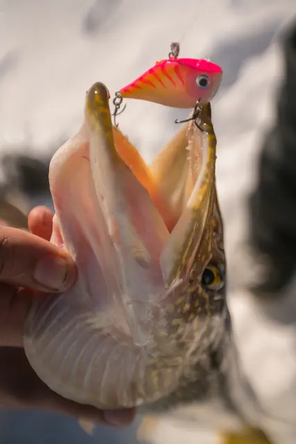 Rapala Rippin Rap GCH 5cm Langtkastende vibrerende wobbler 