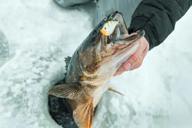 Rapala Rippin Rap GCH 5cm Langtkastende vibrerende wobbler 