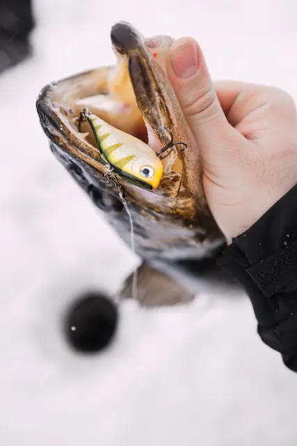 Rapala Rippin Rap GCH 5cm Langtkastende vibrerende wobbler 