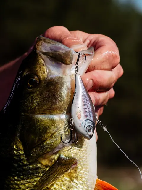 Rapala Rippin Rap GCH 5cm Langtkastende vibrerende wobbler 