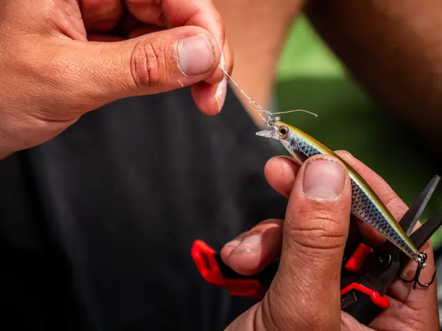 Rapala Shadow Rap S 7cm Imitasjon av døende byttefisk 