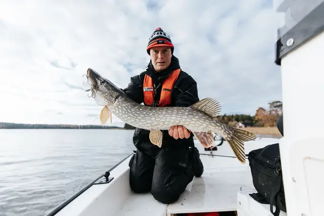 Rapala Super Shadow Rap BGH 11cm Uimotståelig wobbler for predatorer 