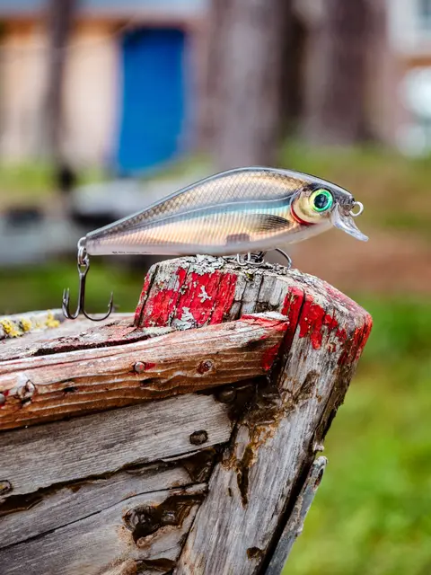 Rapala Super Shadow Rap BGH 11cm Uimotståelig wobbler for predatorer 