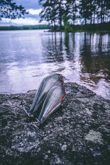 Rapala Super Shadow Rap BGH 11cm Uimotståelig wobbler for predatorer 