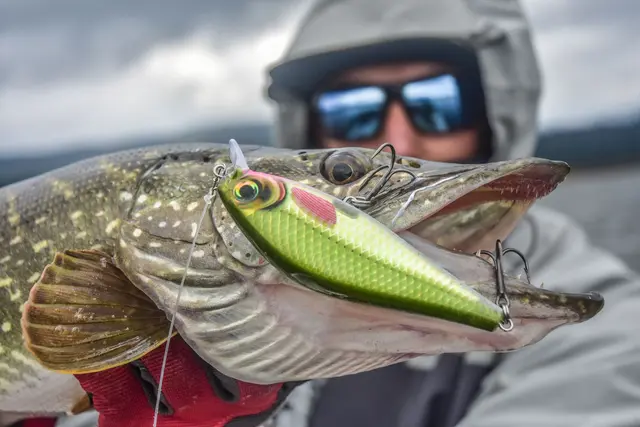 Rapala Super Shadow Rap BGH 11cm Uimotståelig wobbler for predatorer 