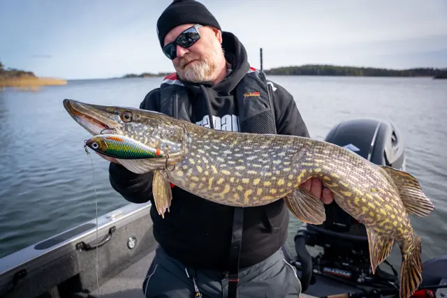 Rapala X-Rap Haku SNFK Release Rig Jerkbait 