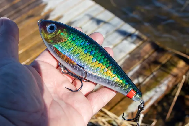 Rapala X-Rap Haku SNFK Release Rig Jerkbait 