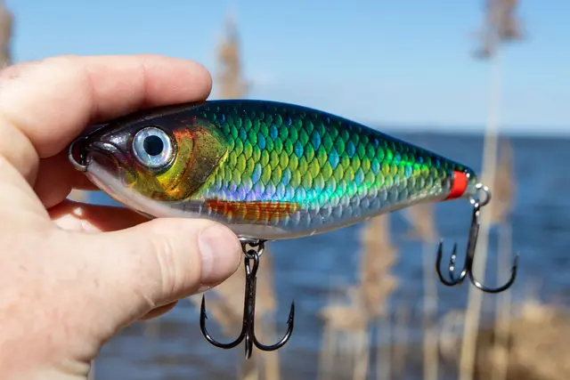 Rapala X-Rap Haku SNFK Release Rig Jerkbait 