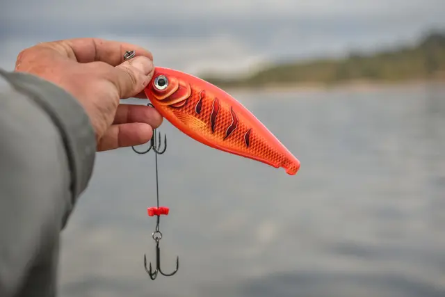 Rapala X-Rap Haku SNFK Release Rig Jerkbait 