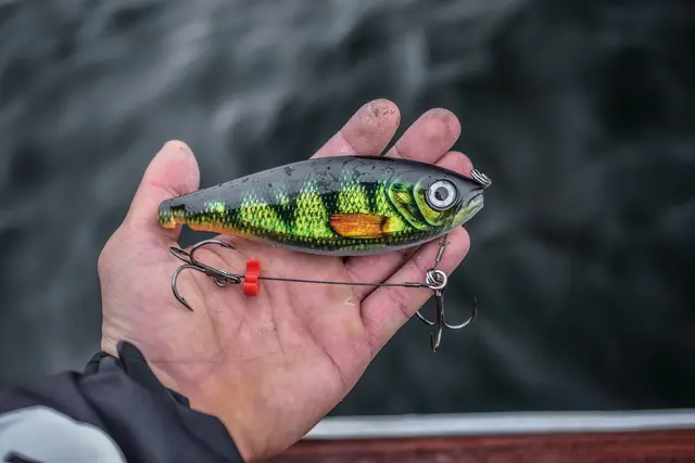 Rapala X-Rap Haku SNFK Release Rig Jerkbait 