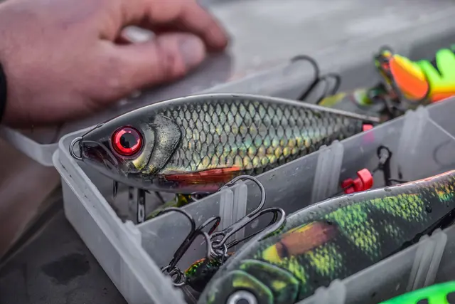 Rapala X-Rap Haku SNFK Release Rig Jerkbait 