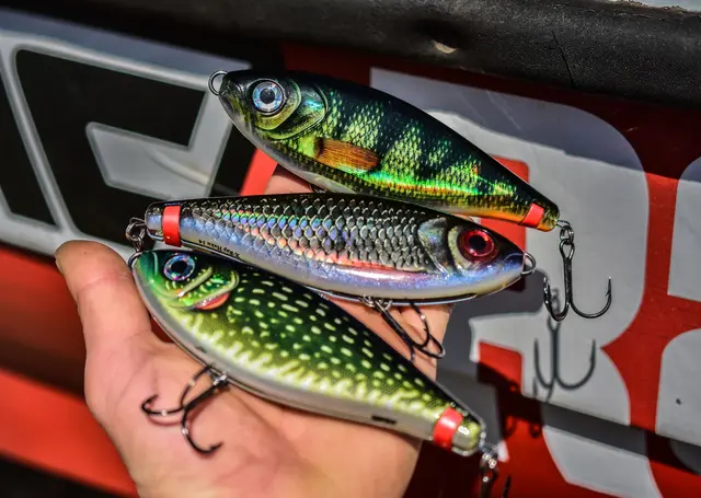 Rapala X-Rap Haku SNFK Release Rig Jerkbait 