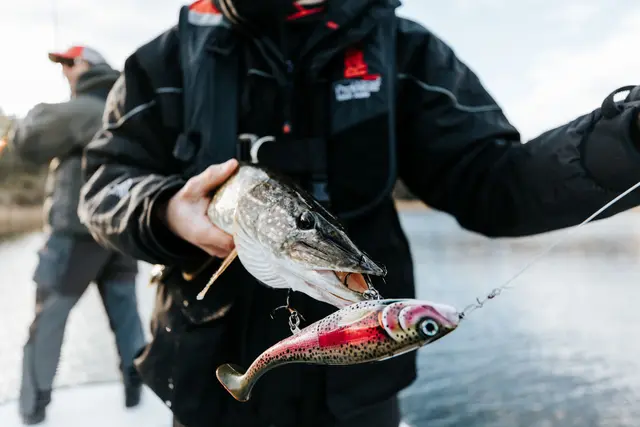 Rapala X-Rap Peto ROL 20cm Saktesynkende hybridagn i trigger farger 