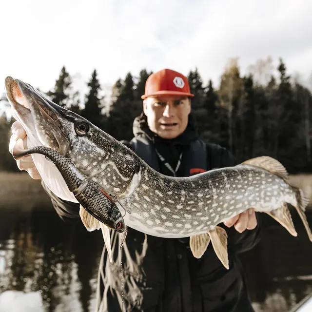 Rapala X-Rap Peto ROL 20cm Saktesynkende hybridagn i trigger farger 