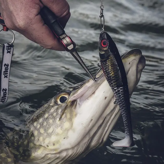 Rapala X-Rap Peto ROL 20cm Saktesynkende hybridagn i trigger farger 