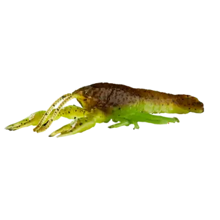 Savage Gear Ned Craw 4pk