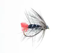 Zulu Black Dobbelkrok