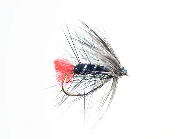 Zulu Black #10 Dobbelkrok 