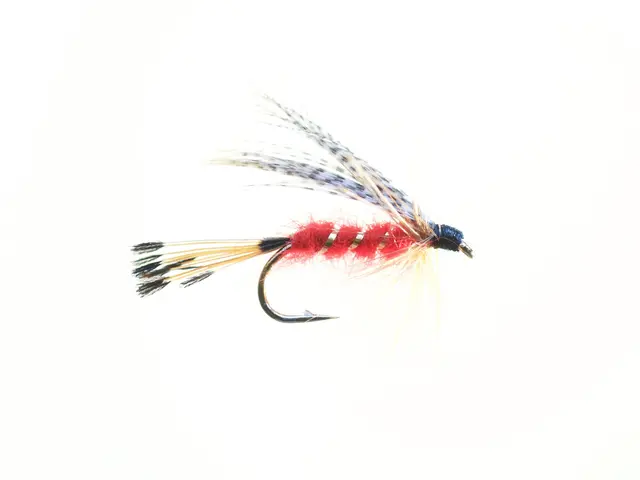 Teal & Red #10 Dobbelkrok 