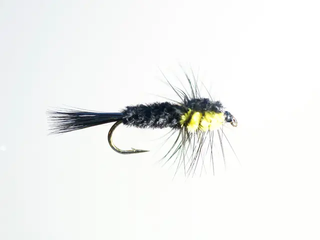 Montana Yellow #12 Dobbelkrok 