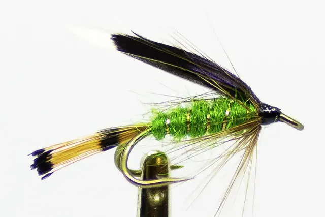 Heckam Peckam Green #12 Dobbelkrok 