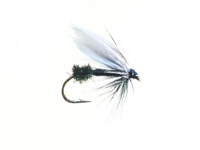 Black Ant #12 - Enkelkrok Kjøp 12 fluer få gratis flueboks 