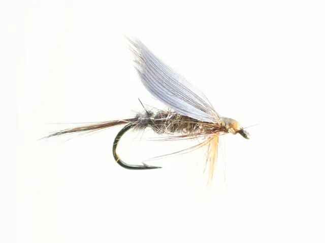 Gold Ribbed Hare's Ear #12 - Enkelkrok Kvalitetsfluer fra kjente leverandører 