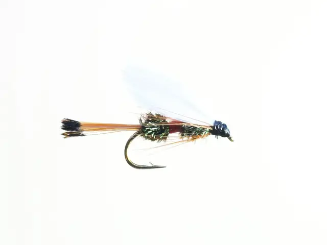 Royal Coachman #12 - Enkelkrok Kjøp 12 fluer få gratis flueboks 