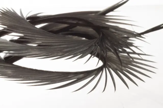 Semperfli Natural Range Goose Biots Blue Dun 