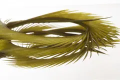 Semperfli Natural Range Goose Biots Dark Olive