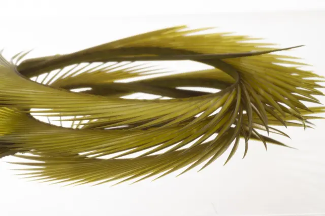 Semperfli Natural Range Goose Biots Dark Olive 