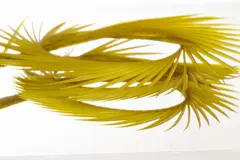 Semperfli Natural Range Goose Biots Golden Olive