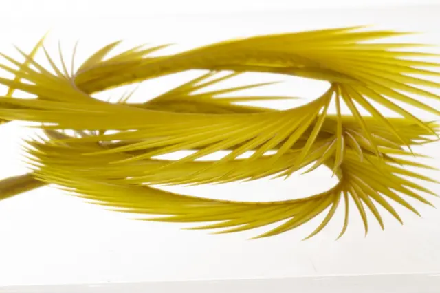 Semperfli Natural Range Goose Biots Golden Olive 