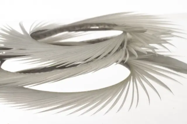 Semperfli Natural Range Goose Biots Grey 