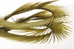 Semperfli Natural Range Goose Biots Olive Dun