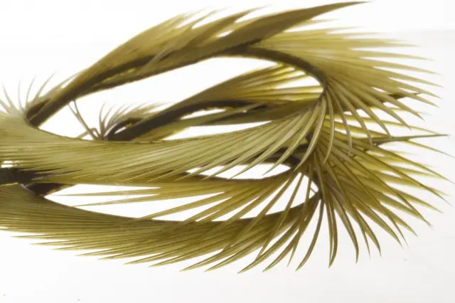 Semperfli Natural Range Goose Biots Olive Dun 