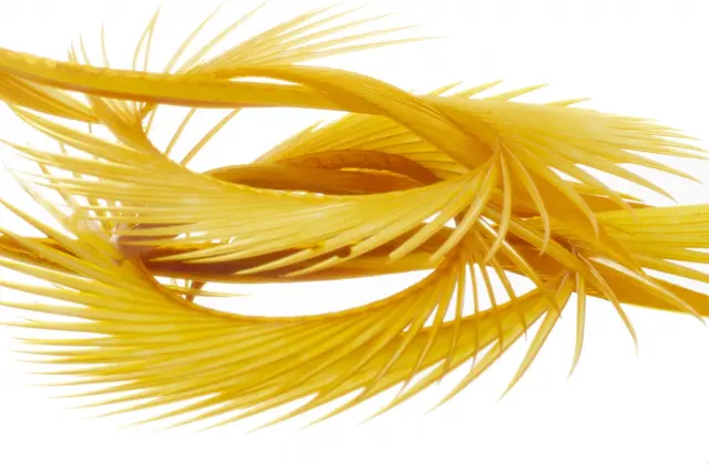 Semperfli Natural Range Goose Biots Brown Olive 