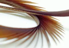 Semperfli Inferno Goose Biots Brown