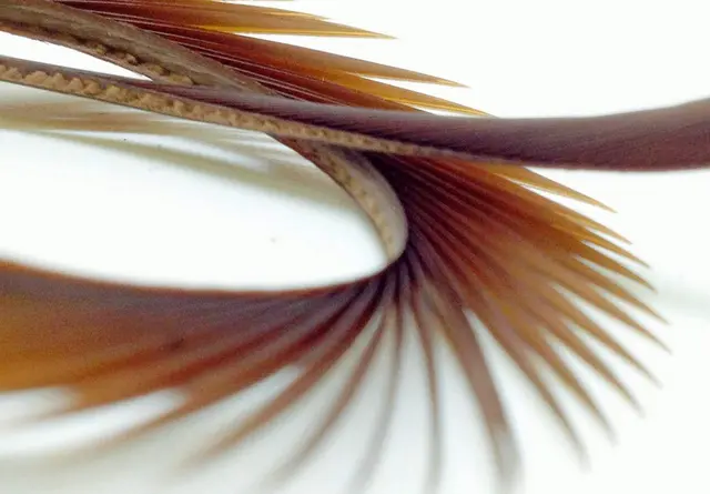 Semperfli Inferno Goose Biots Brown 