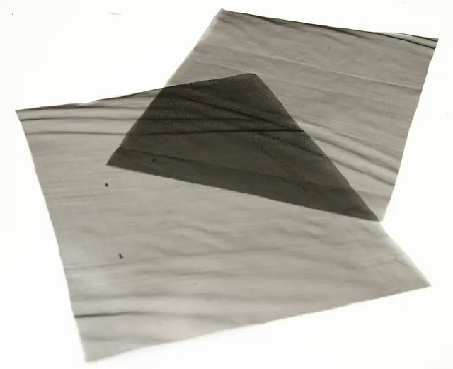 Semperfli Sparkle Organza Black 