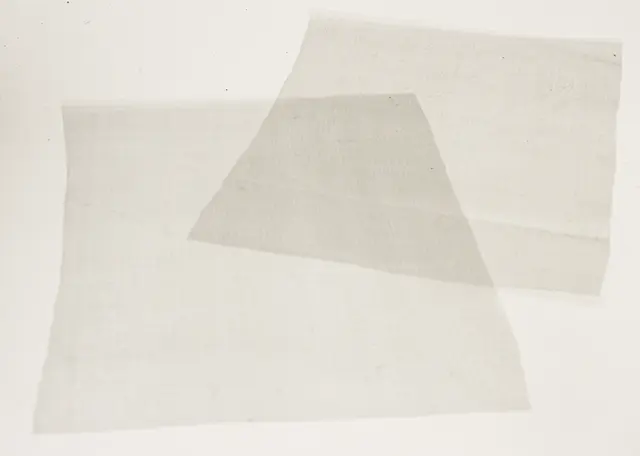 Semperfli Sparkle Organza Light Dun 