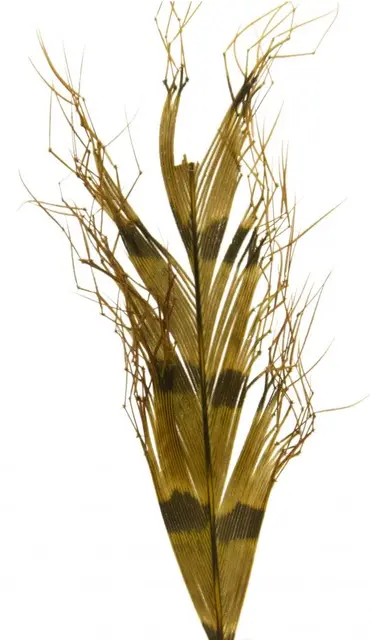 Semperfli Knotted Cranefly Legs Picric Double 