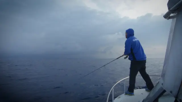 Shimano Stella SW C 4000HG Verdens ubestridte beste haspelsnelle 