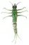 Savage Gear 3D TPE Mayfly Nymph 5cm 2,5g Green