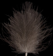 Swiss CDC Super Select undyed Dark Grey Khaki