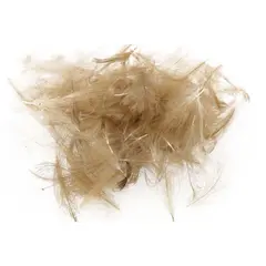 Swiss CDC Standard Pardo Store fj&#230;r